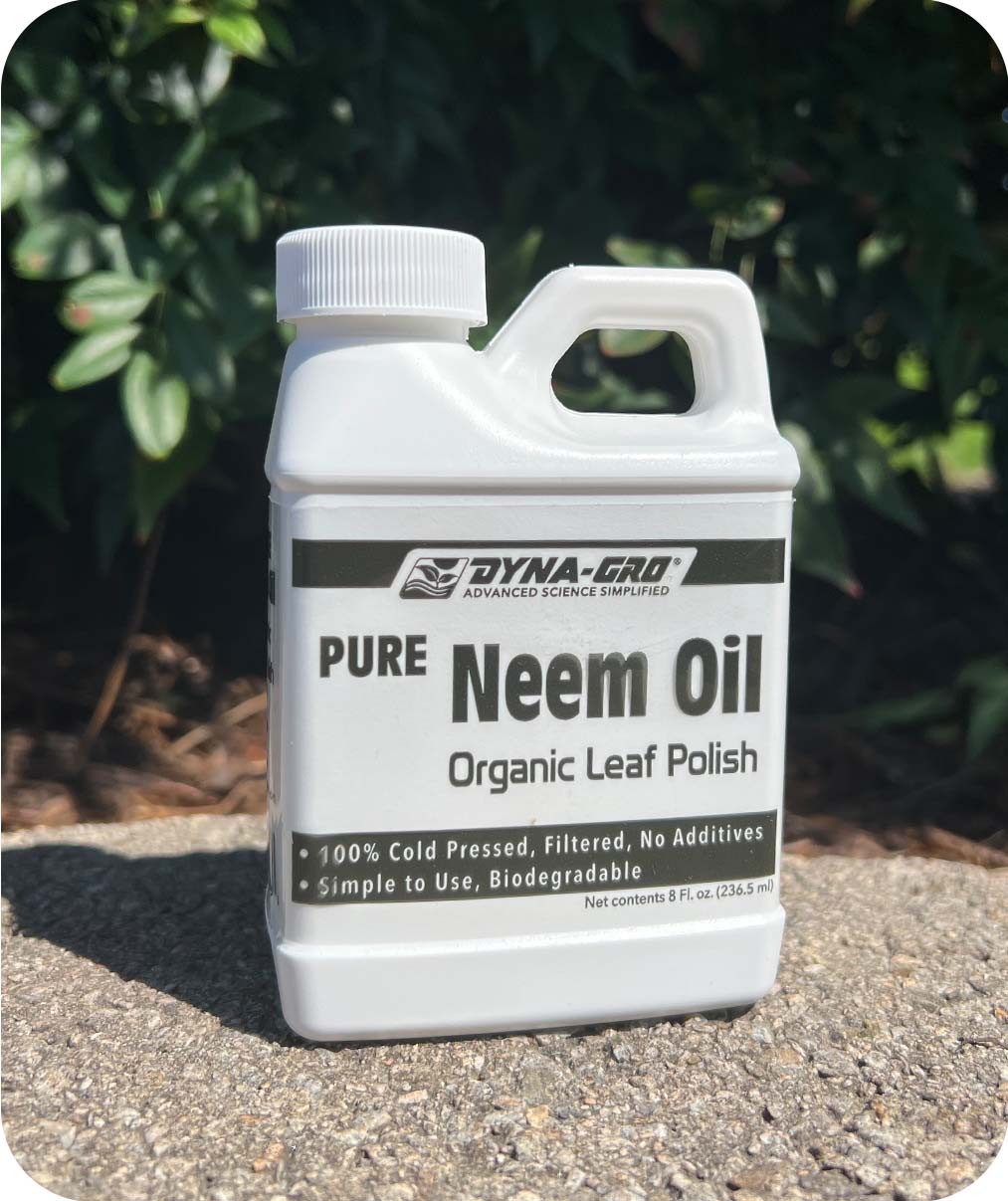 Dyna Gro Neem Oil Organic Leaf Polish