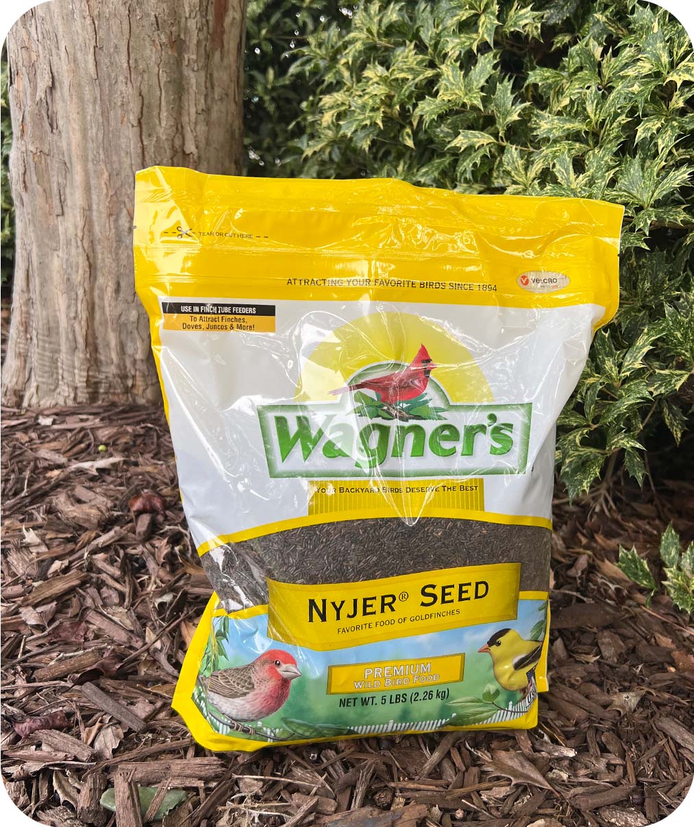 Wagner's Nyjer Seed